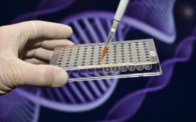 Avoid Mistakes in DNA Testing