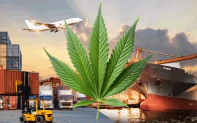 Join the National Conversation on Marijuana Rescheduling