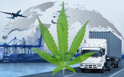 Marijuana and Safety-Sensitive Work