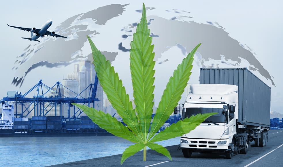 Marijuana and Safety-Sensitive Work